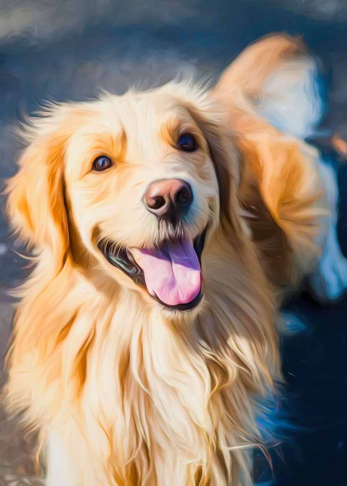 Happy Golden Retriever
