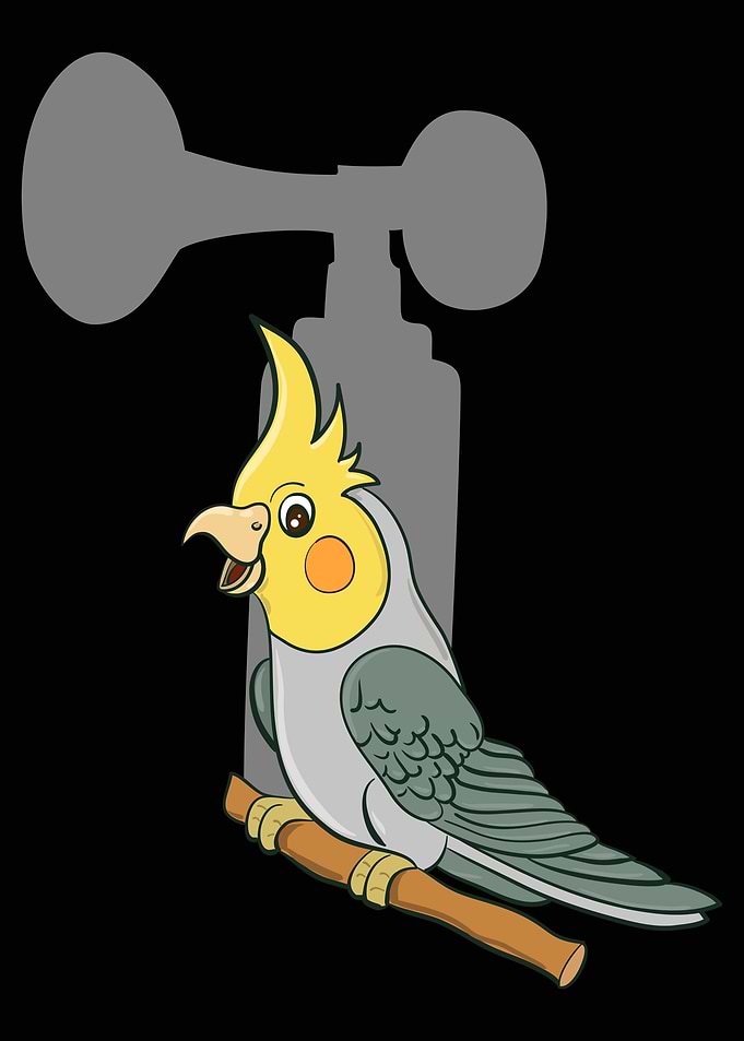 Cockatiel Bird Gift