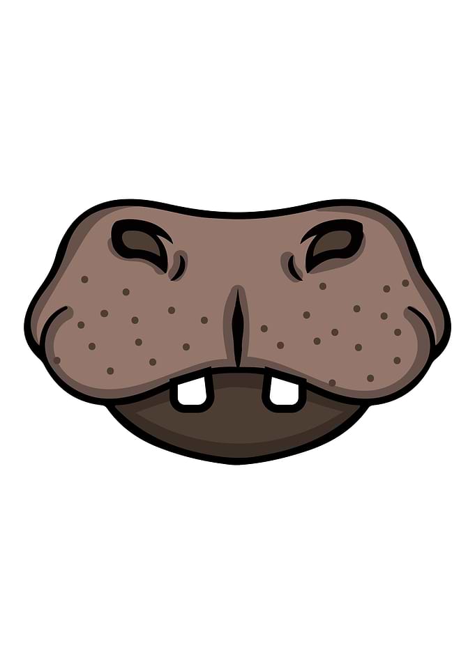 hippo hippopotamus Face