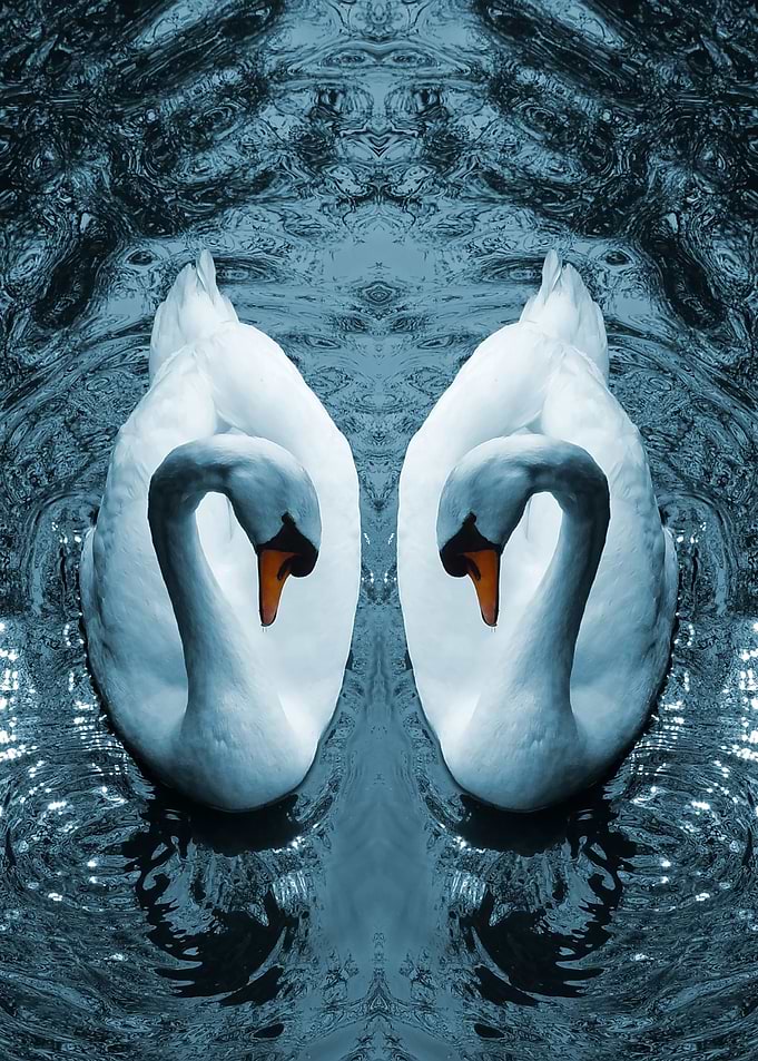 Swan Mirror