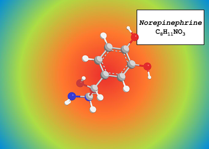 Norepinephrine