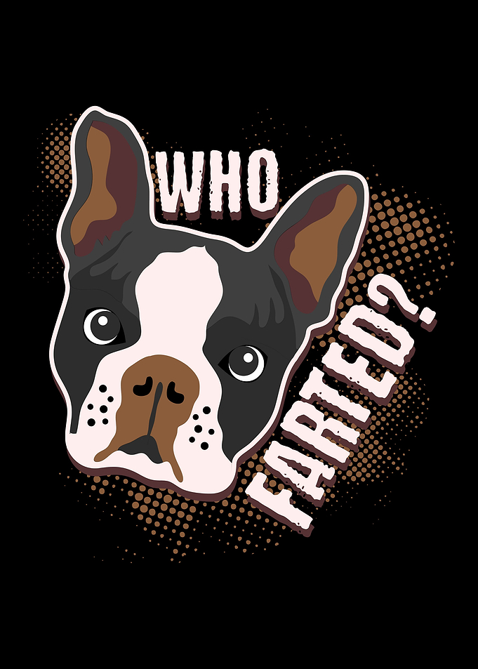 Who Farted Boston Terrier