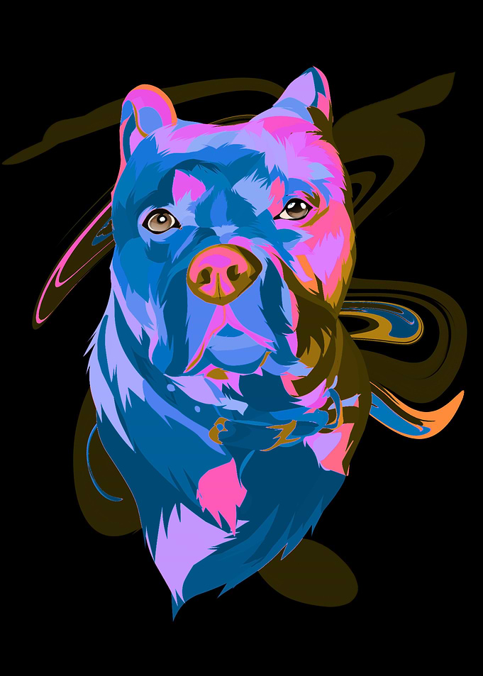 colorful abstract buldog