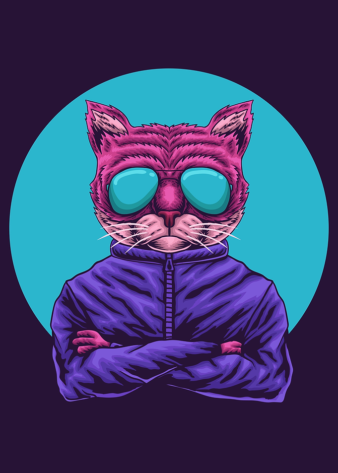 Fashion Cat in Sunglasses