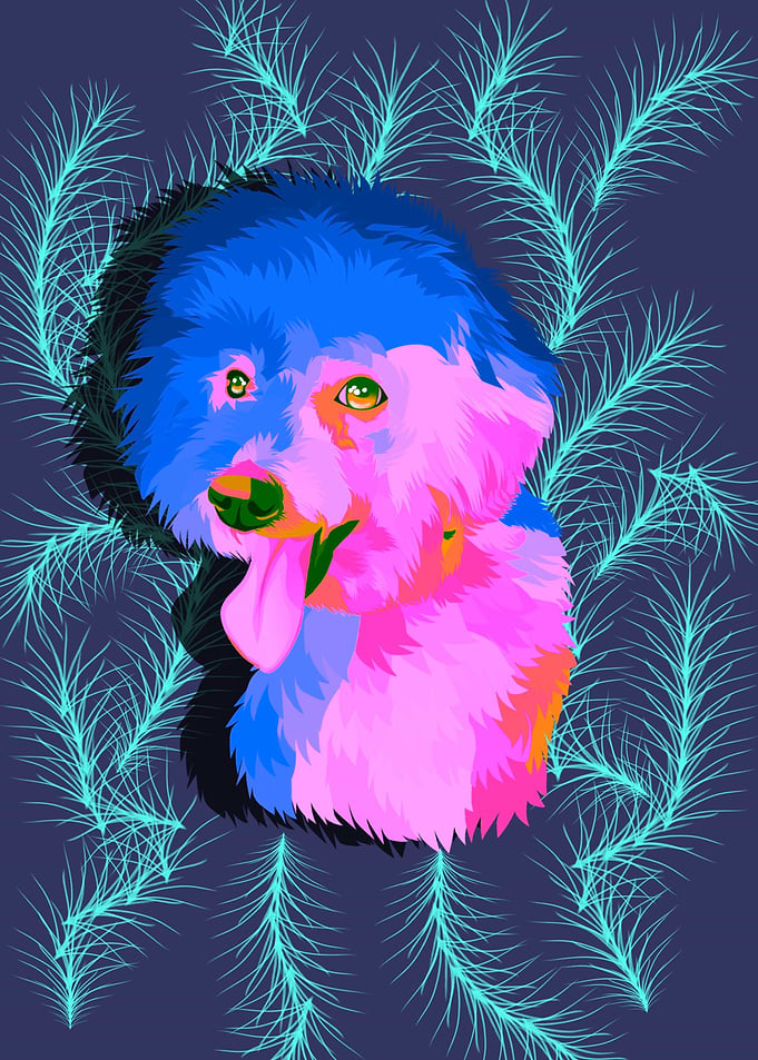 colorful puppy dog