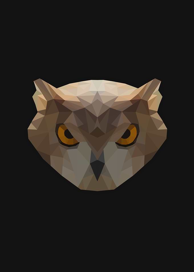 Low Poly Owl