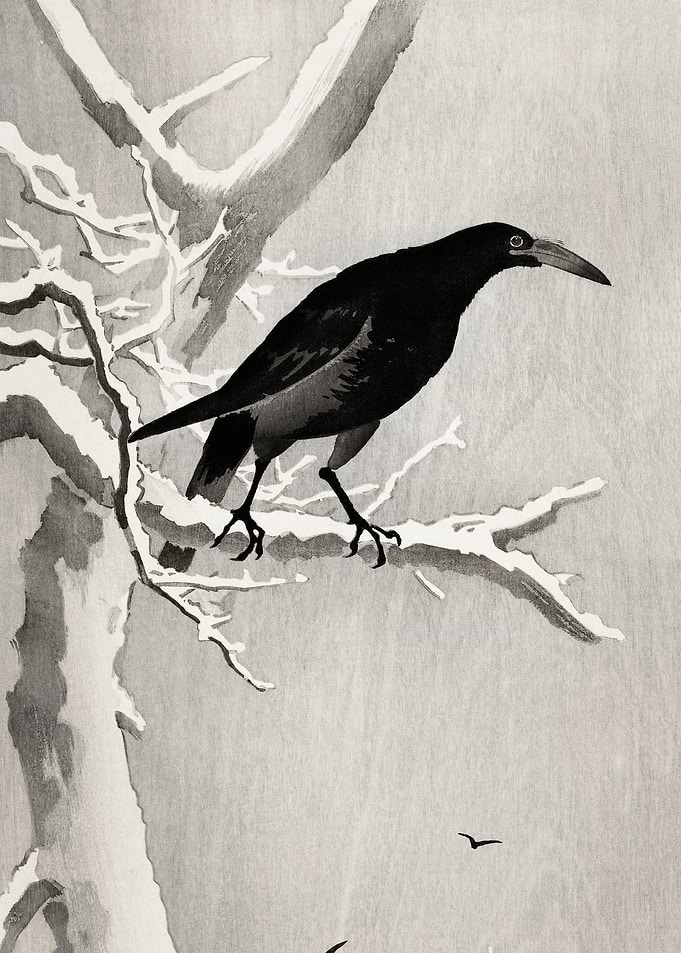 Crow on snowy tree branch