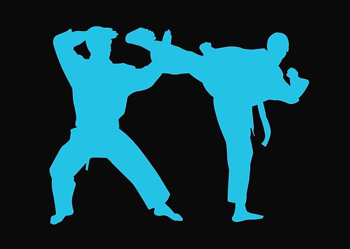 Karate 6
