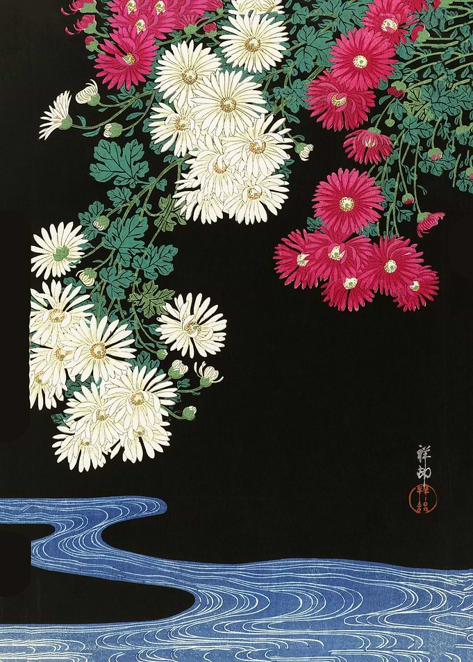 Chrysanthemums