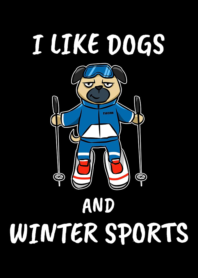 Dog Ski Alpine slopes Snow