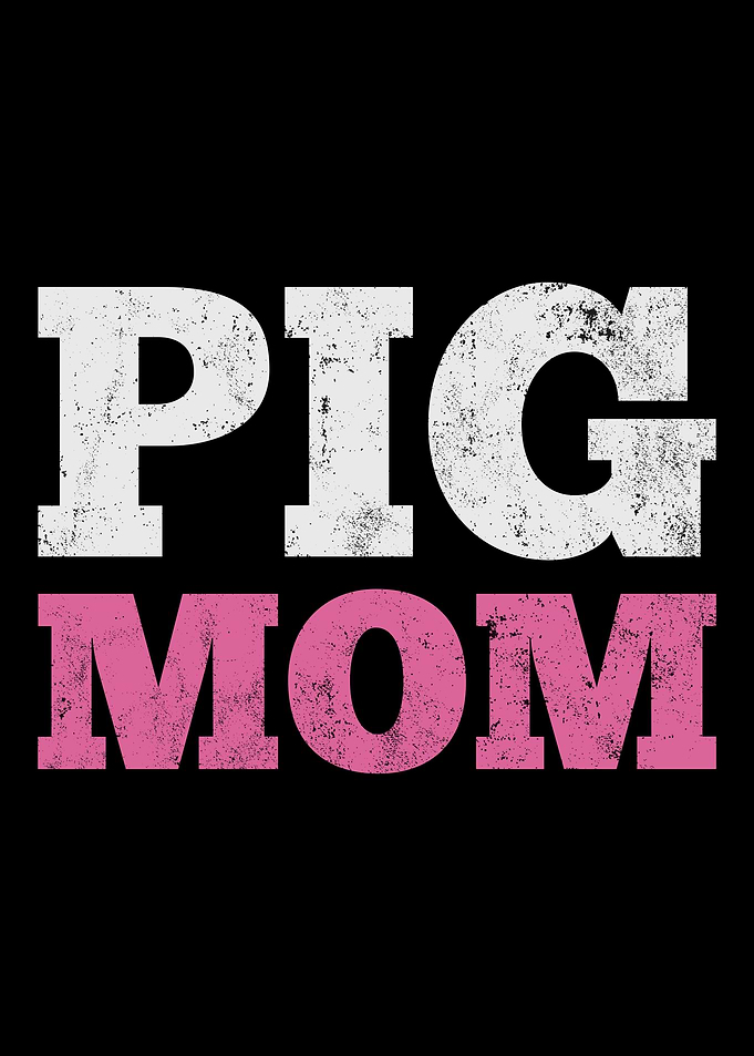 Pigs Mom Mama Farming