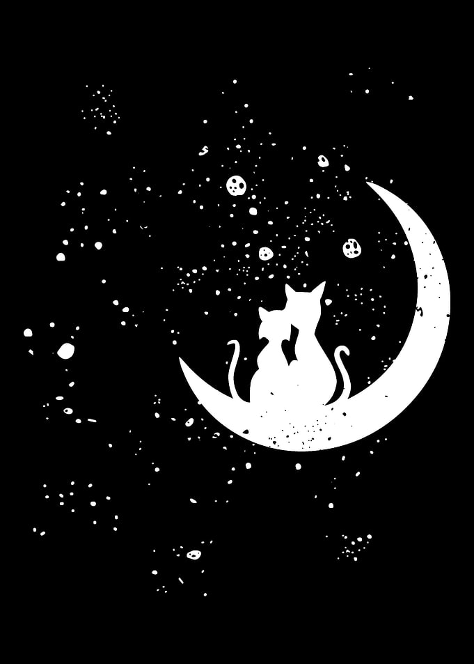 Cats love the moon