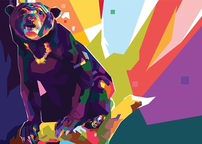 BORNEO SUN BEAR