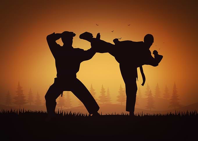 Karate 2