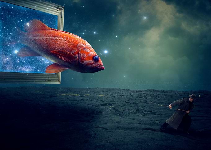 Magic Fish