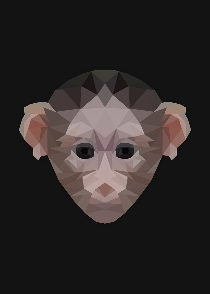 Monkey Head
