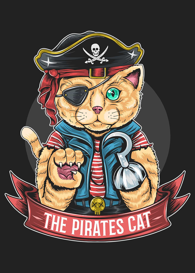 Funny Pirates Cat
