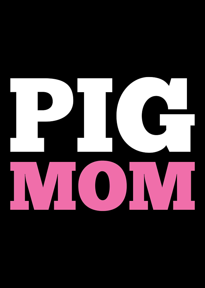 Pigs