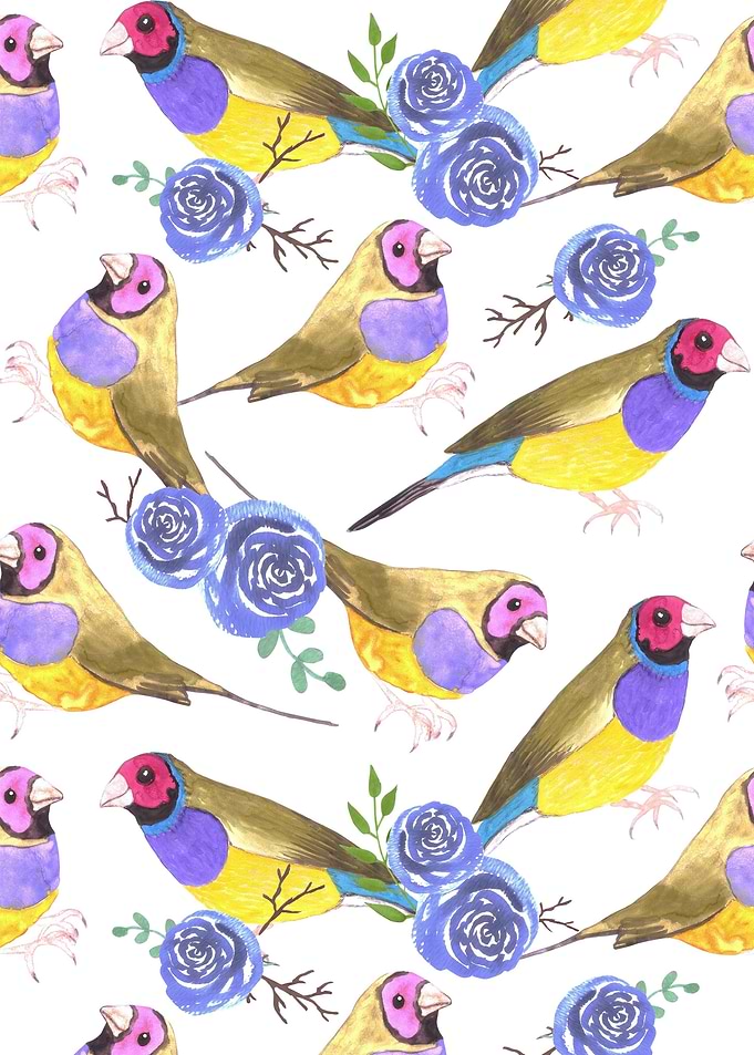 Gouldian finches and roses