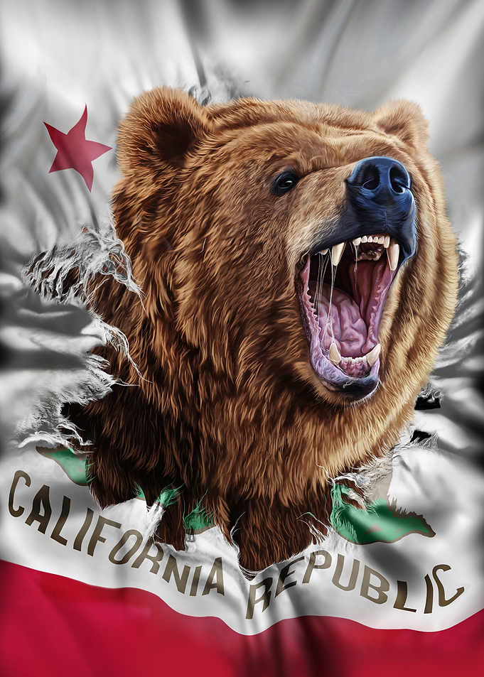 California Bear Flag