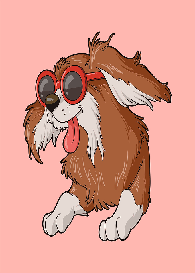 Coolest Dog Ever
