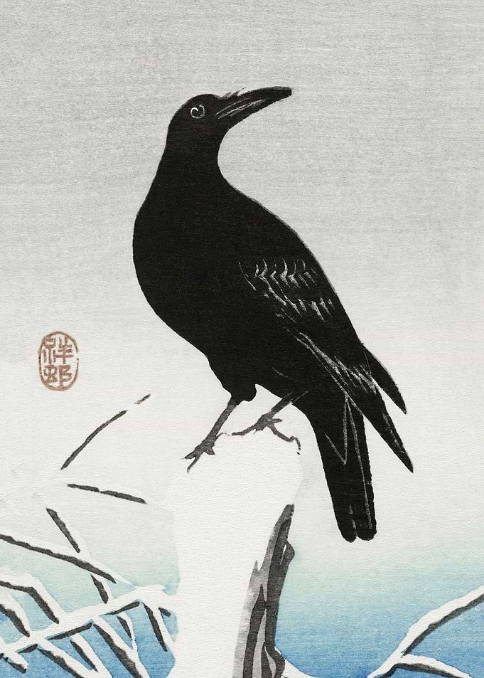 Crow on snowy pole