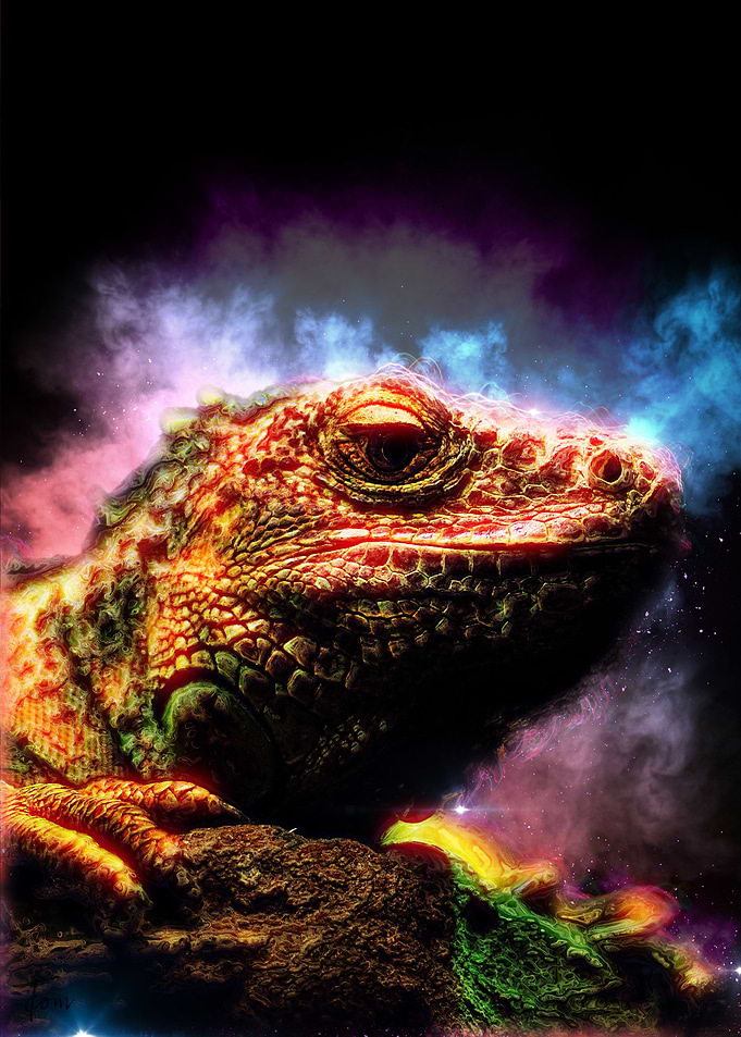 Iguana