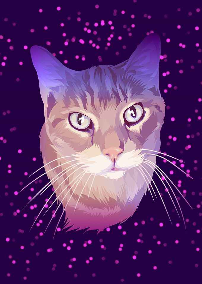 Colorful cute cat