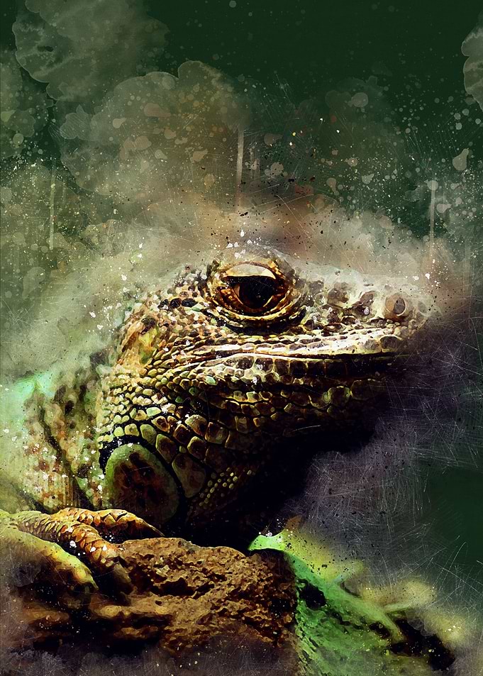Iguana