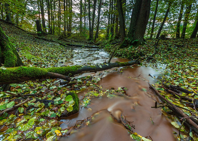 Fall Red Europe Landscape