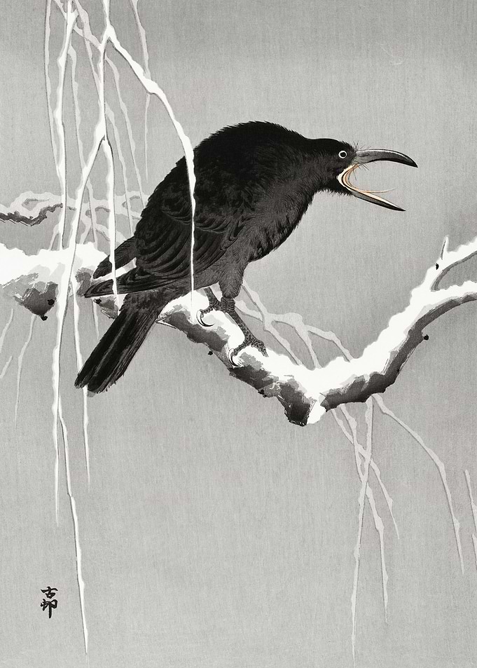 Crow on snowy branch