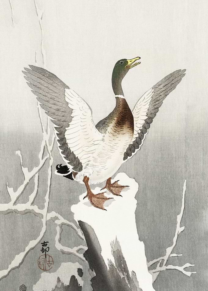 Duck on snowy tree stump