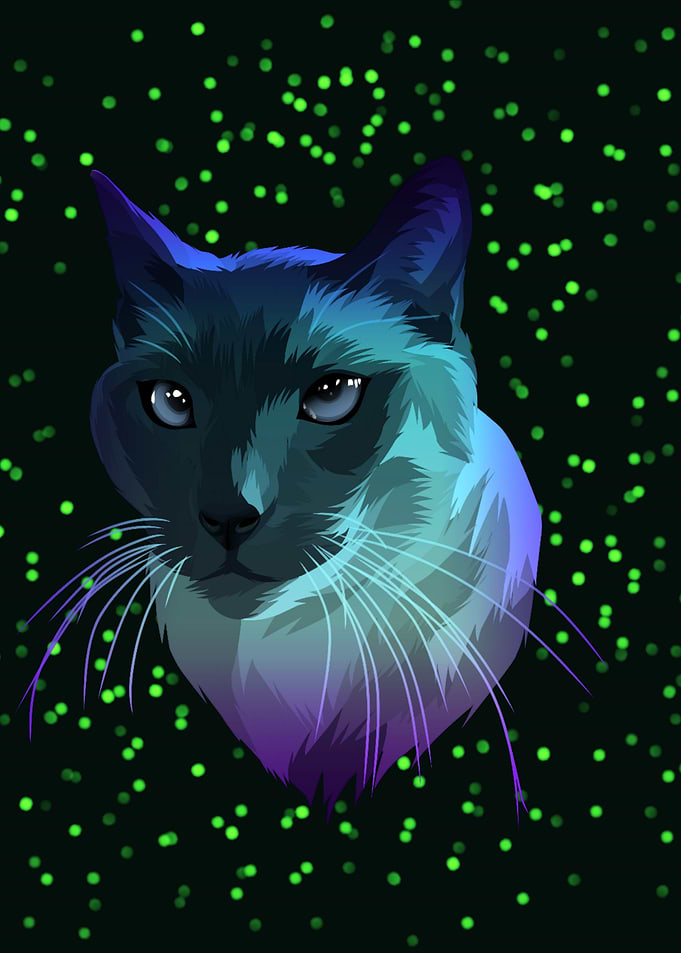 colorful cool cat