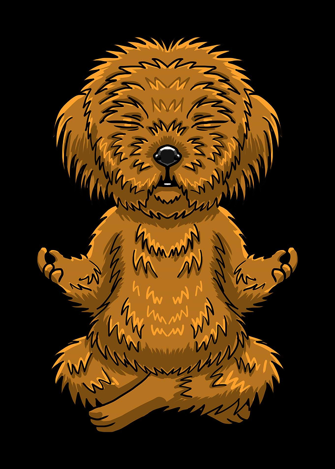 Golden Doodle Lotus Yoga