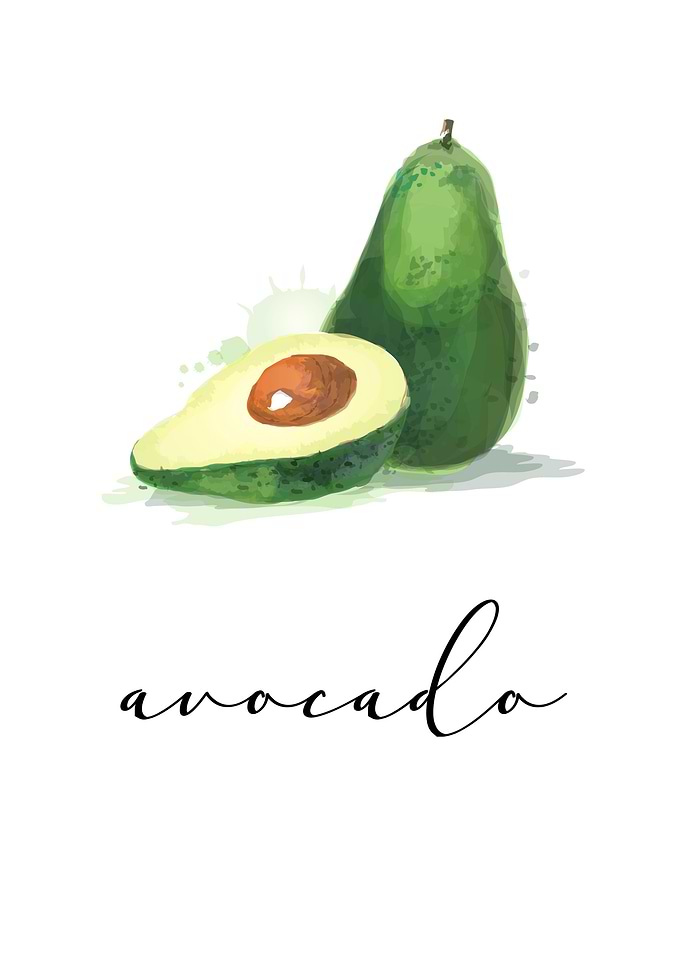 Avocado