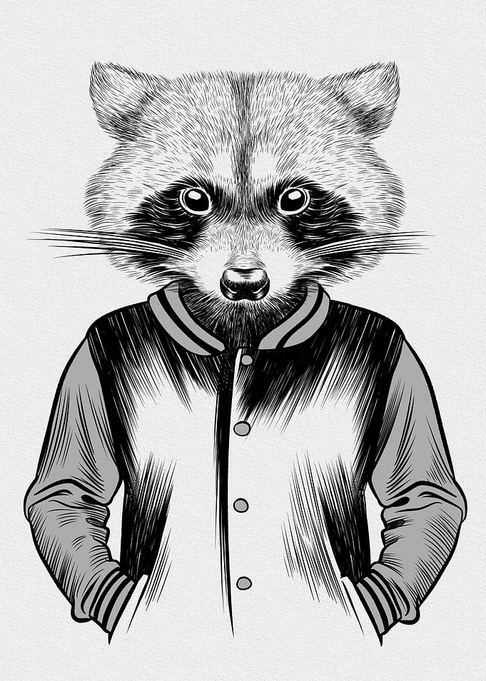 Hipster raccoon