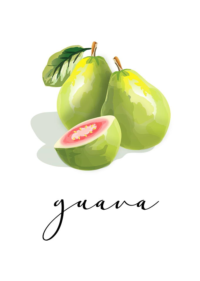 Guava