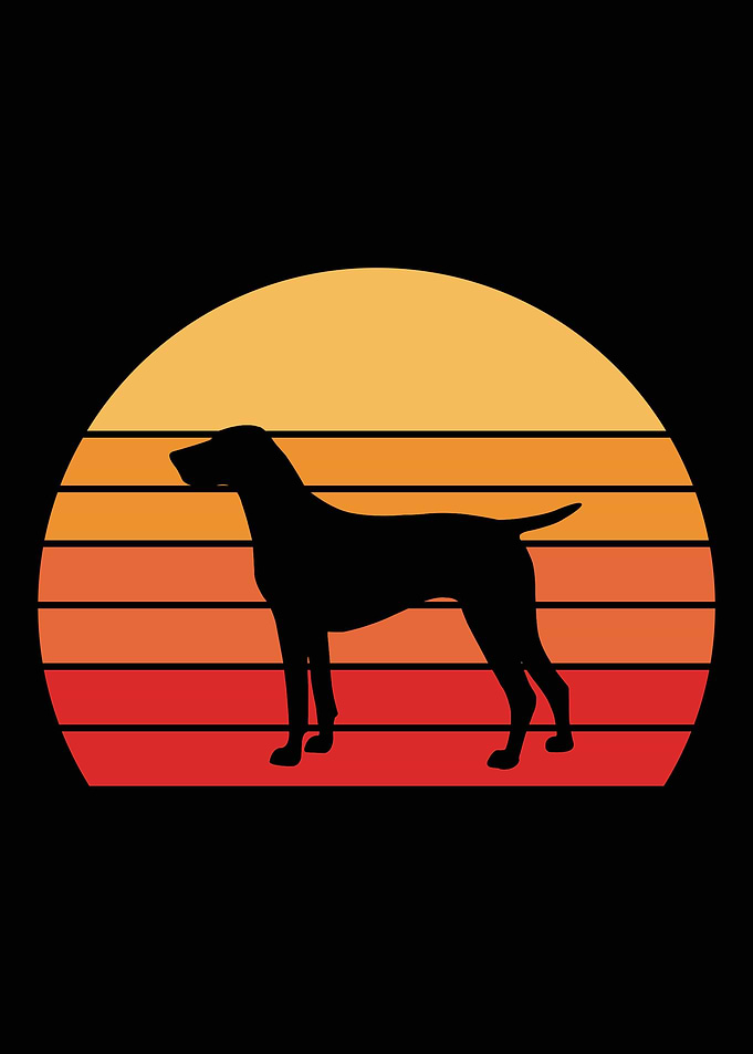 German Shorthair Pointer