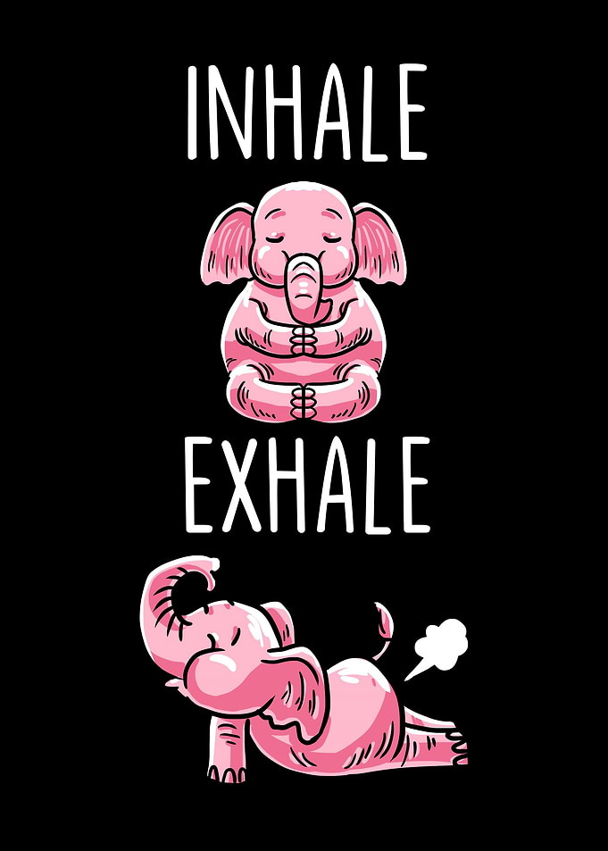 Inhale Elephant Yoga