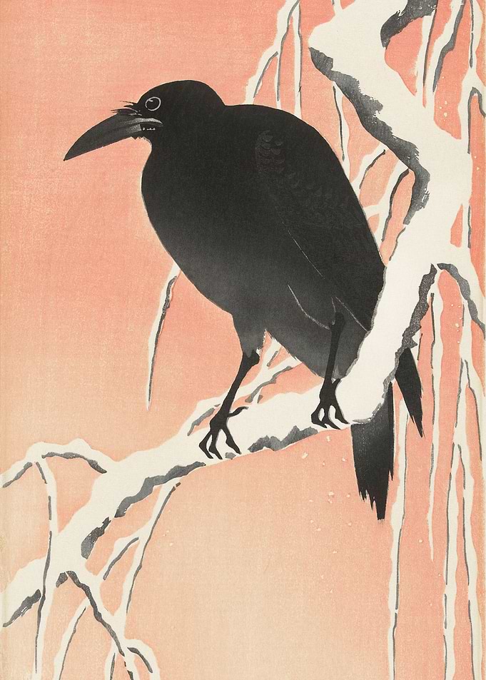 Crow on snowy branch