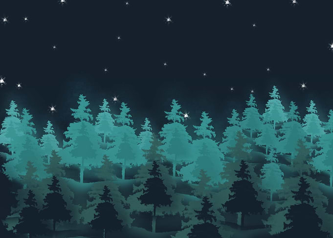 The Forest