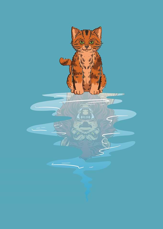 Cats Imagination
