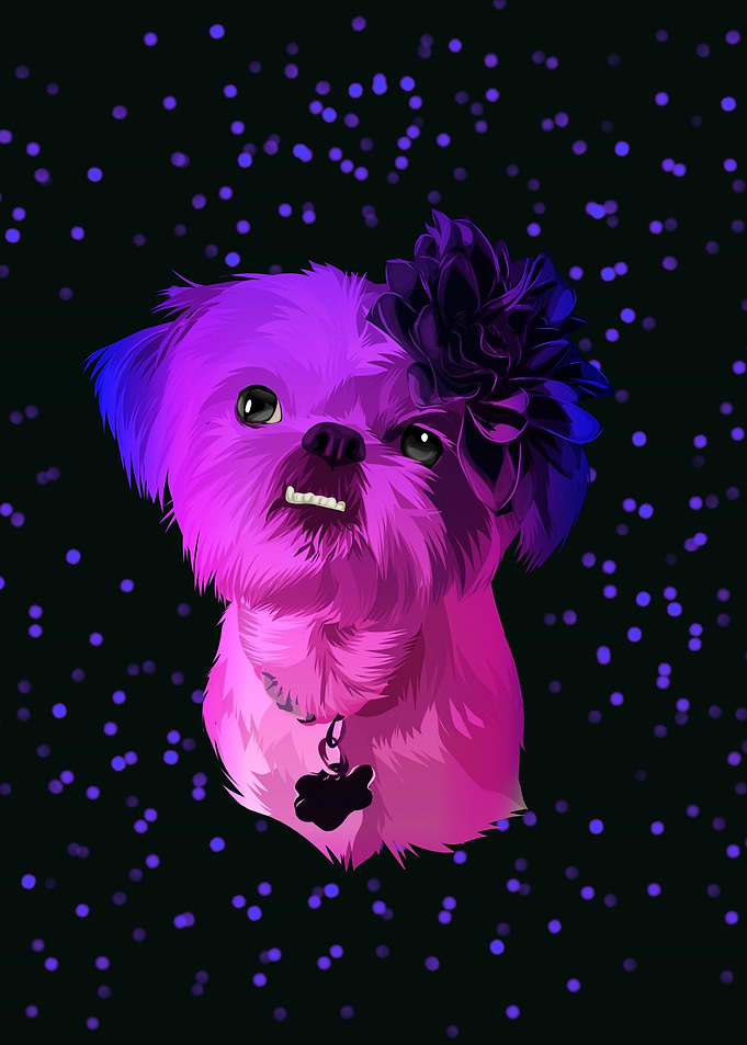 colorful cute puppy dog