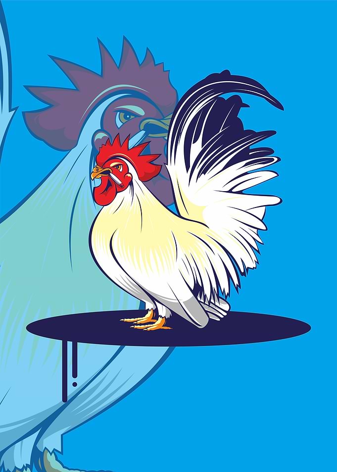 shortlegged Bantam cock