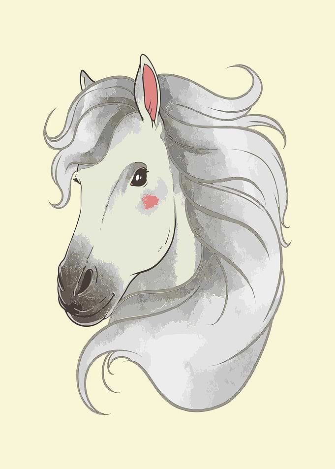 Beautiful Horse Head