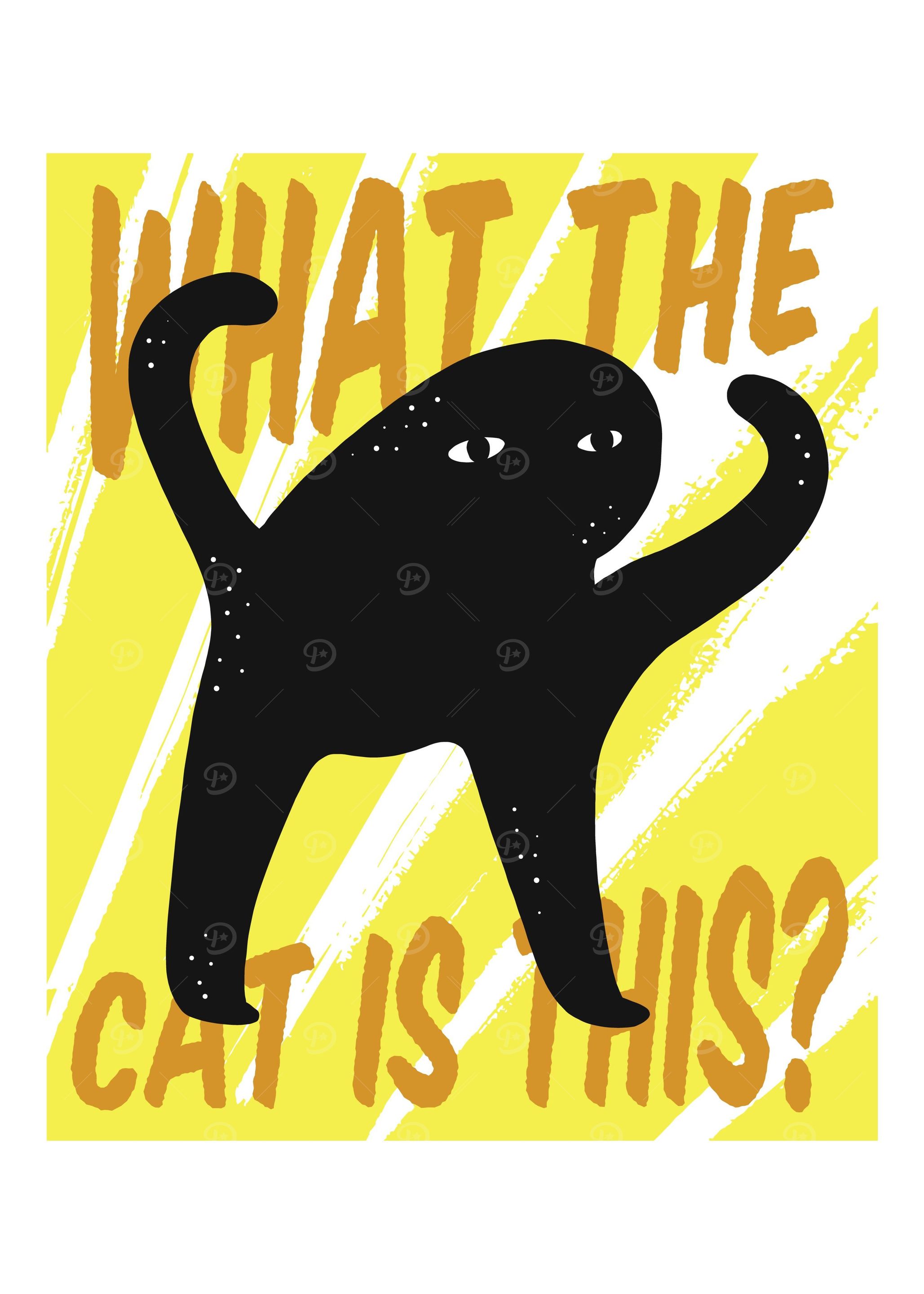 Funny cats with text
