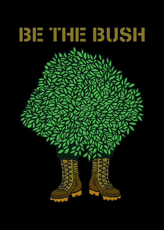 Camping Be The Bush