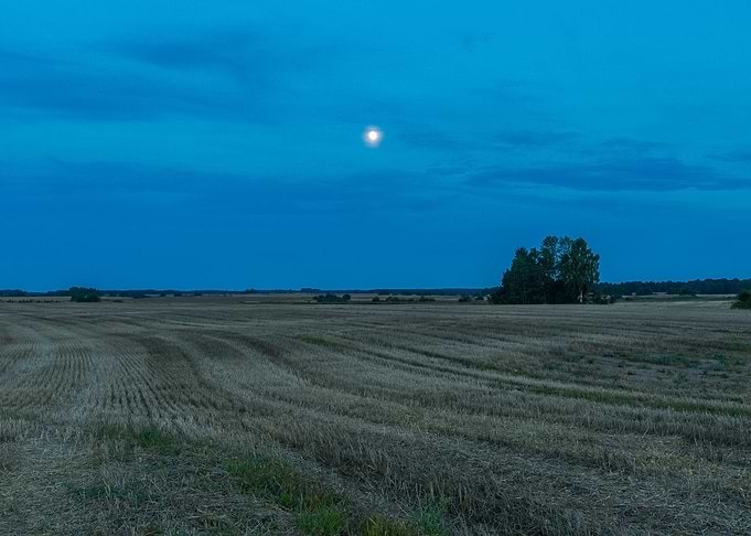 Sky Agriculture Landscape