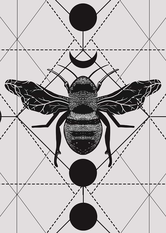 Geometric Bee