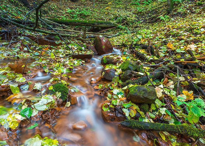 Fall Red Europe Landscape